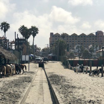 Festival Plaza - Hotels Near Me - Rosarito, BCN