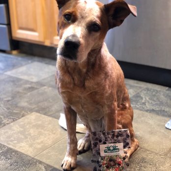 Two Pals & A Pup - Pet Stores Near Me - Denver, Colorado