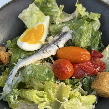 Salt & Vine - Caesar Salad - Wine Bars Near Me - Olney, Maryland Salt & Vine - Caesar Salad - Wine Bars Near Me - Olney, Maryland