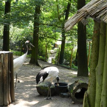 Zoo Dečín - Zoos Near Me Zoo Dečín - Zoos Near Me