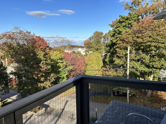 Queen Anne's Revenge by null