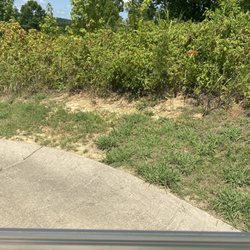 North Creek Golf Club - Look at the weed growth