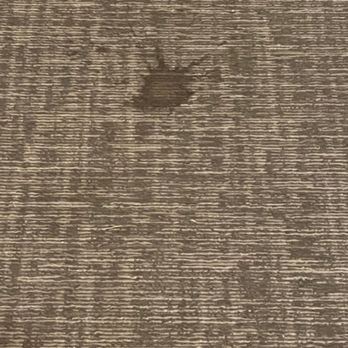 Apex at 290 - The state of the stained carpeting in the hallways - Apartments Near Me - Elmsford, New York Apex at 290 - The state of the stained carpeting in the hallways - Apartments Near Me - Elmsford, New York