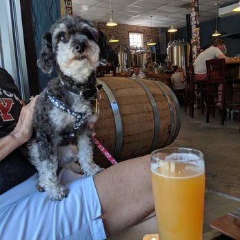 Bog Brewing Company - Little Ellie Wahine sipping her first Bog beer.  She's partial to the Sun Rips. - Breweries Near Me - Saint Augustine, Florida