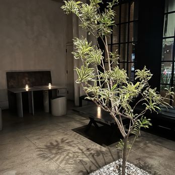 kodo - Complete zen from the moment you walk in, incredible ambiance - Cocktail Bars Near Me - Los Angeles, California kodo - Complete zen from the moment you walk in, incredible ambiance - Cocktail Bars Near Me - Los Angeles, California