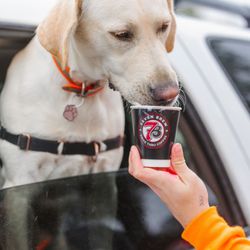 7 Brew Coffee