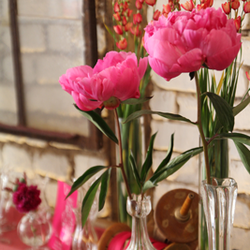 Blume sucht Vase