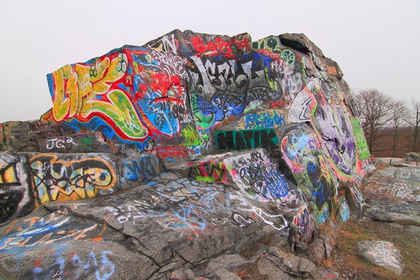 Quincy Quarries Reservation by null