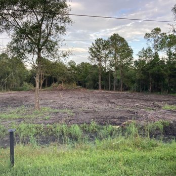 Above The Standard - a dirt field with trees in the background - Tree Services Near Me - Palatka, Florida