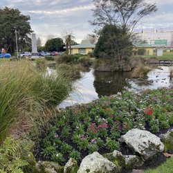 Rotorua Government Gardens - ...