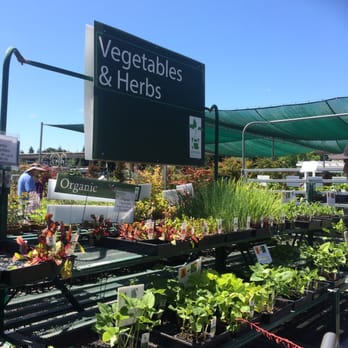 Evergreen Nursery - Nurseries & Gardening Near Me - San Leandro, California Evergreen Nursery - Nurseries & Gardening Near Me - San Leandro, California