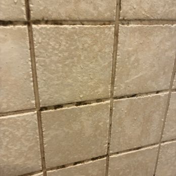 BeachBox Vacation Rentals - Mildew in shower that was supposedly cleaned prior to our arrival - Vacation Rentals Near Me - Galveston, Texas BeachBox Vacation Rentals - Mildew in shower that was supposedly cleaned prior to our arrival - Vacation Rentals Near Me - Galveston, Texas