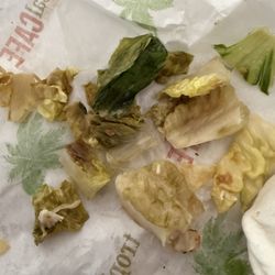 Tropical Smoothie Cafe - Chicken Caesar wrap