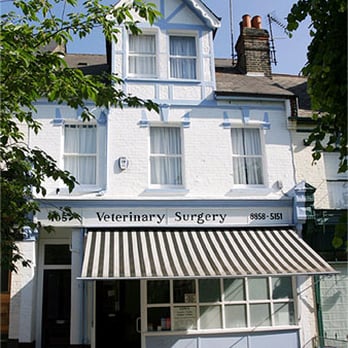 Blackheath Veterinary Surgery - Veterinarians Near Me - London, XGL