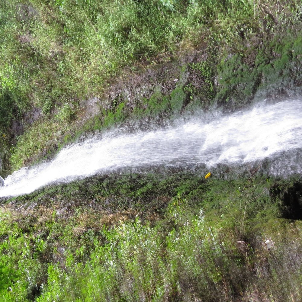 Lulumahu Falls - Hiking Near Me - Honolulu, Hawaii Lulumahu Falls - Hiking Near Me - Honolulu, Hawaii