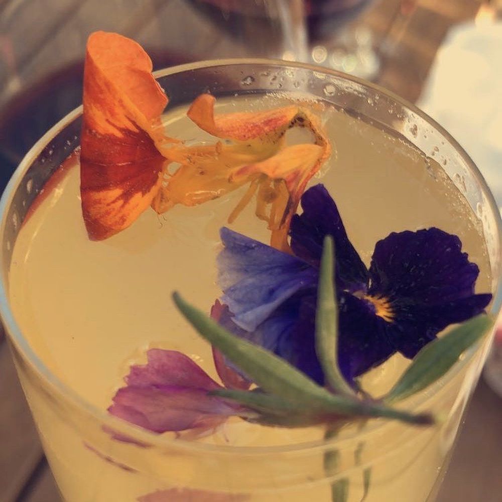 Wise Acre Eatery - Bees knees drink with local honey - Breakfast & Brunch Near Me - Minneapolis, Minnesota Wise Acre Eatery - Bees knees drink with local honey - Breakfast & Brunch Near Me - Minneapolis, Minnesota