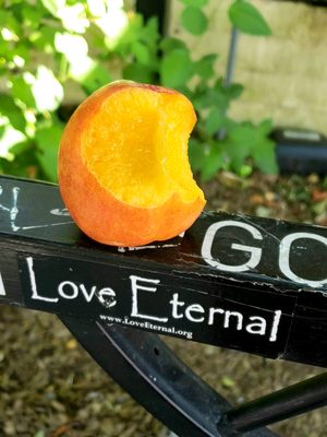 Cherry Sprout Produce by null