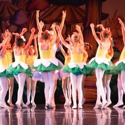 Verdi Academy of Dance