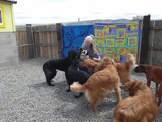 sunshine doggy daycare