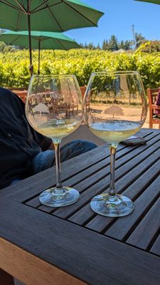 Windy Oaks Winery by null