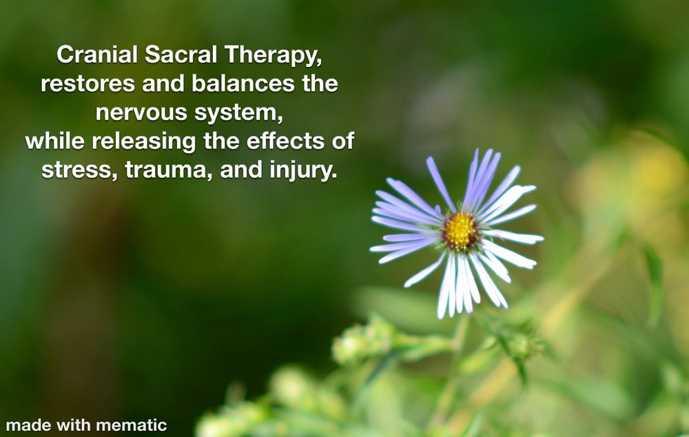 CRANIAL SACRAL 11 Photos Decatur, Massage Therapy Phone