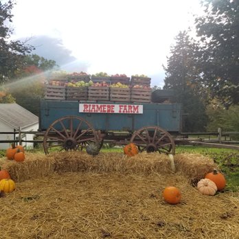 Riamede Farm - Pick Your Own Farms Near Me - Chester, New Jersey Riamede Farm - Pick Your Own Farms Near Me - Chester, New Jersey