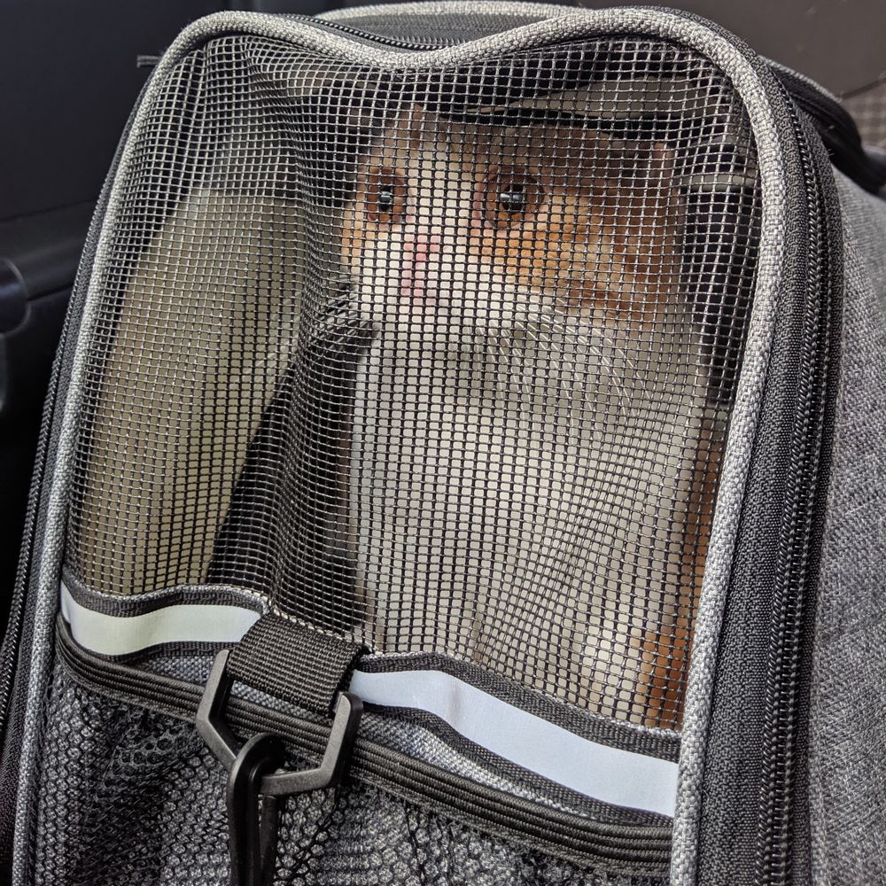 LITTLETON WEST ANIMAL HOSPITAL Updated October 2024 10 Photos & 24