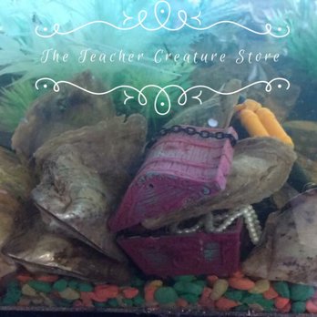 The Teacher Creature Store - Pet Stores Near Me - Spring, Texas