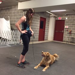 Sit Happens Dog Training