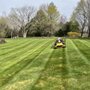 Photo of M&D Property Maintenance 