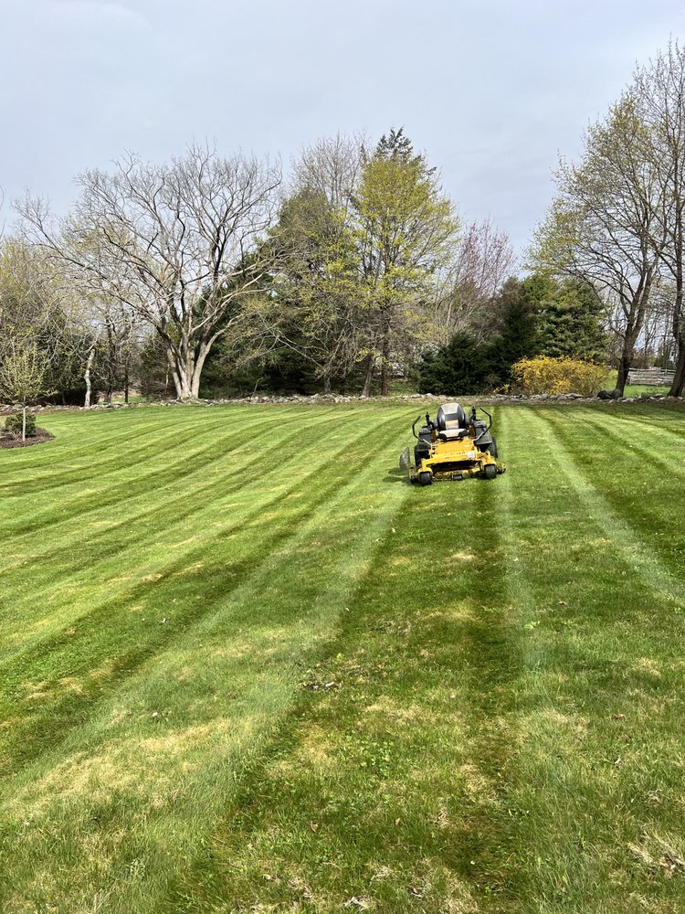 M&D Property Maintenance  - tree service in Berlin, CT