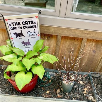 Java Gourmet Company Store & Black Cat Bistro - Decor outside - Coffee Roasteries Near Me - Penn Yan, New York Java Gourmet Company Store & Black Cat Bistro - Decor outside - Coffee Roasteries Near Me - Penn Yan, New York