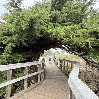 Cambria - The boardwalk - Local Flavor Near Me Cambria - The boardwalk - Local Flavor Near Me