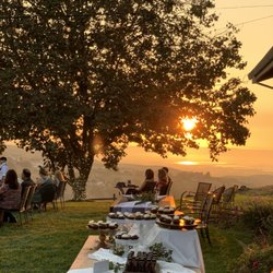 Big Dog Vineyards