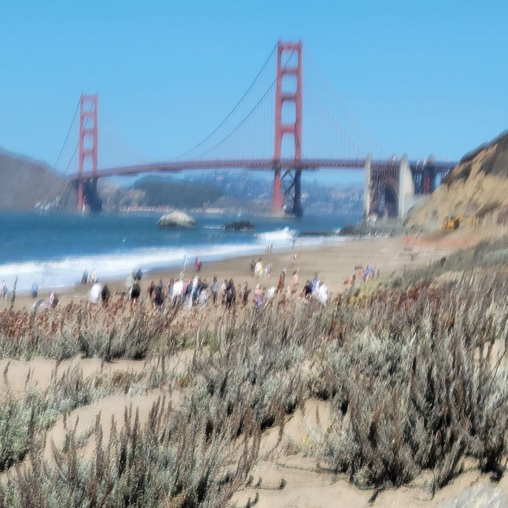 Baker Beach - Bridge view with plants in foreground - Parks Near Me - San Francisco, California Baker Beach - Bridge view with plants in foreground - Parks Near Me - San Francisco, California