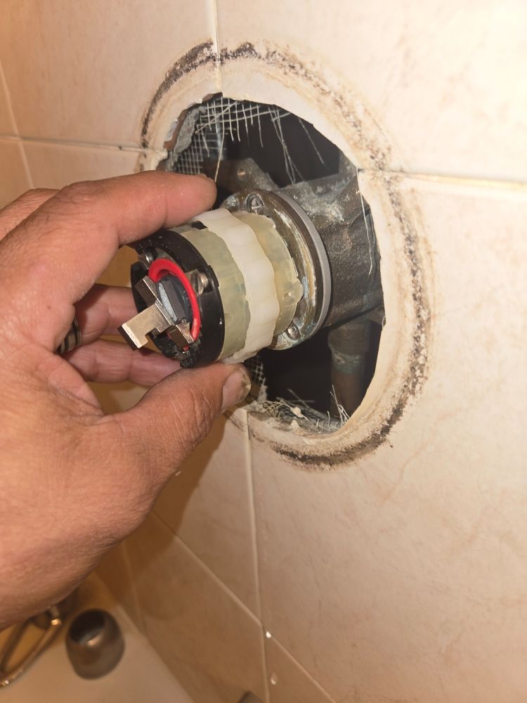 Slide of Another Plumber