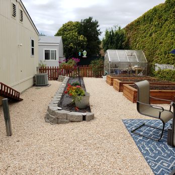 Blue Cypress Landscaping - no need to stumble & climb from lower level to upper! :) - Landscaping Near Me - Penngrove, California Blue Cypress Landscaping - no need to stumble & climb from lower level to upper! :) - Landscaping Near Me - Penngrove, California