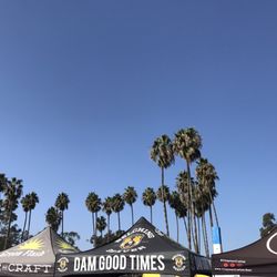 Driftwood Festival