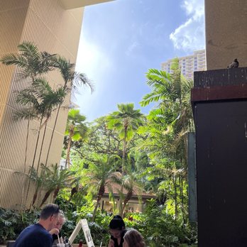 Tapa Bar - Beautiful setting - Wine Bars Near Me - Honolulu, Hawaii Tapa Bar - Beautiful setting - Wine Bars Near Me - Honolulu, Hawaii