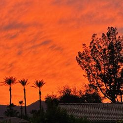 Paradise Pickleball - Every day is a beautiful day to play Pickleball here at Paradise
