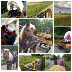 Binneninn - Nicolien de shetlander gaat graag huifkarrijden met de kinderen!