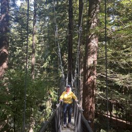 Tree Walk