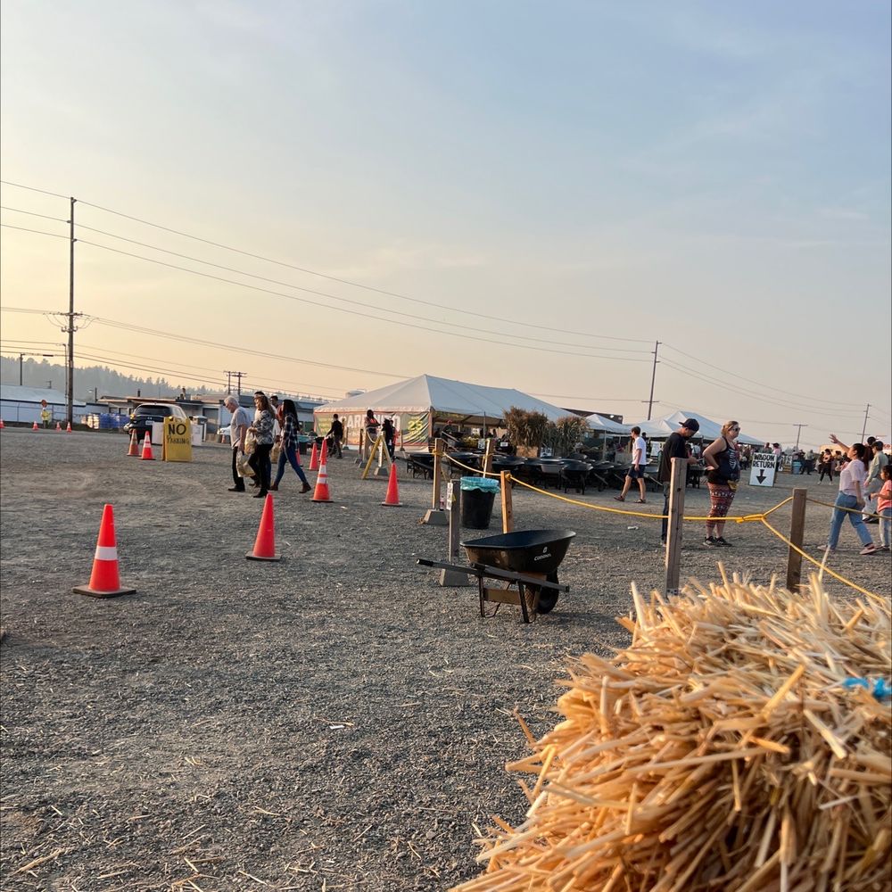 CARPINITO BROTHERS PUMPKIN PATCH Updated August 2024 253 Photos