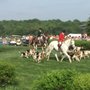 Photo of Volunteer State Horsemen's Foundation