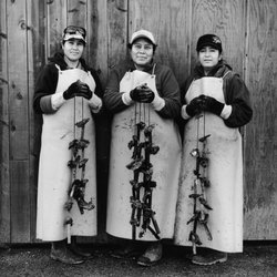 Art Complex Museum - Oyster Farm Photographs - August 19 - November 4