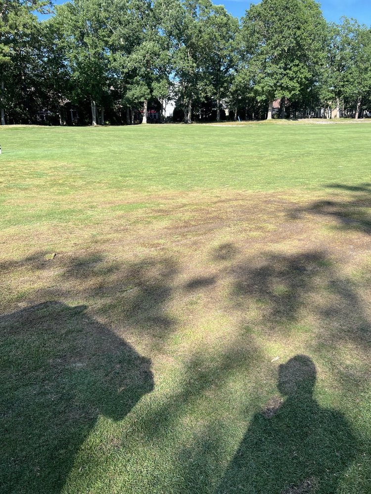 Social spots from Blue Heron Pines Golf Club