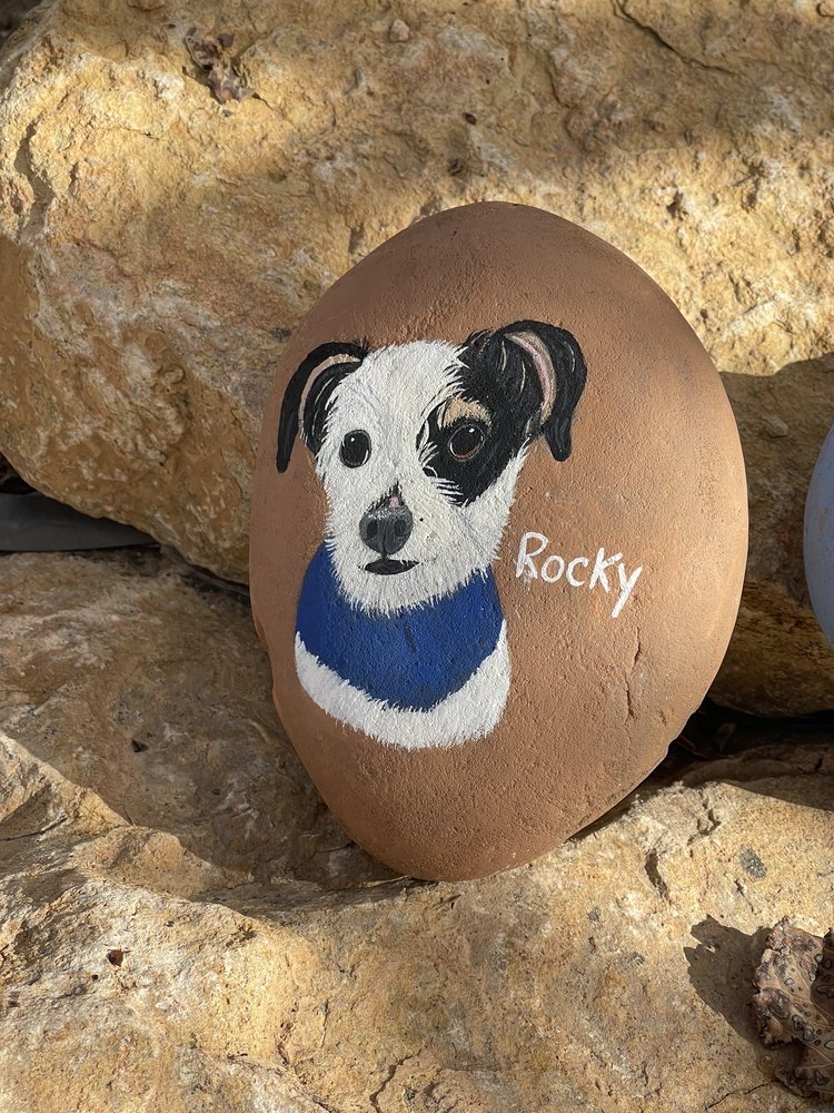 DOG TOWN DOG PARK Updated October 2024 21 Photos & 16 Reviews 450