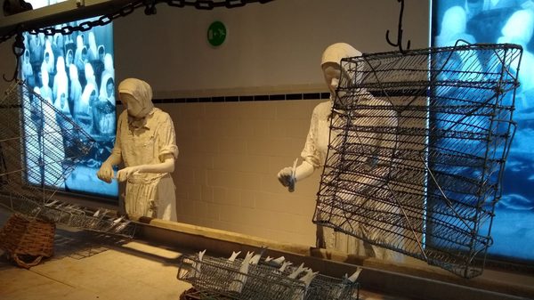 Museu de Portimão by null