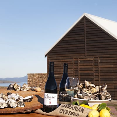 Bangor Vineyard Shed by null