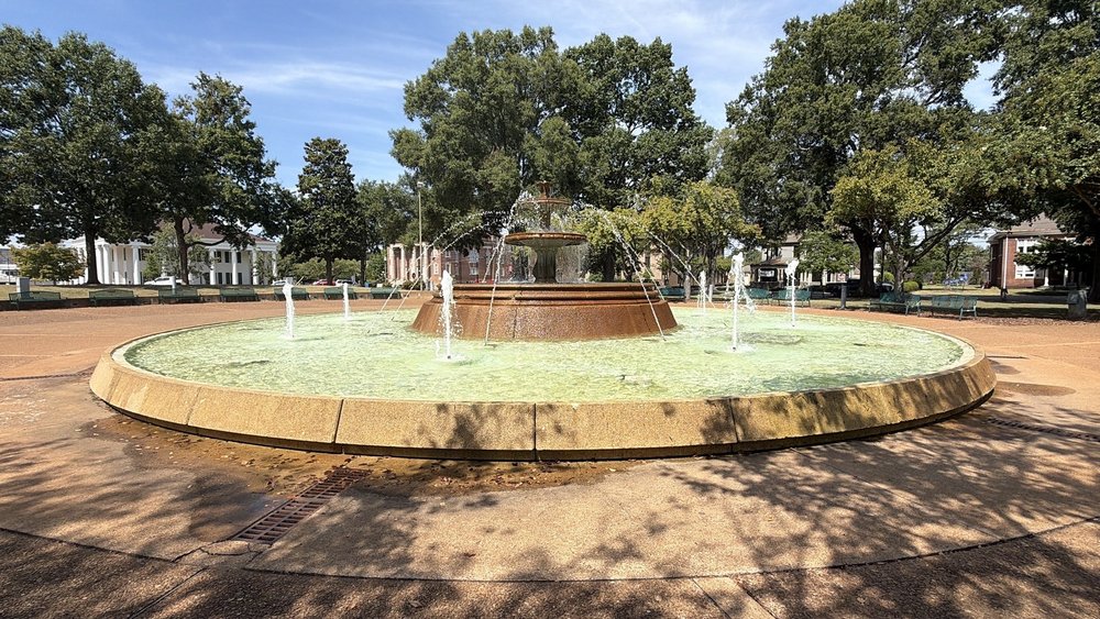 Social spots from Wilson Park